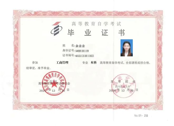 2024年成人学历提升最M6米乐 MILE全报考攻略(图1)